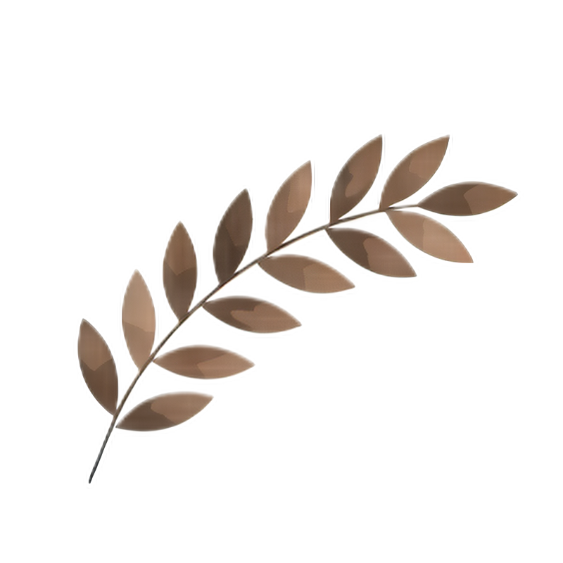 lc_bronze