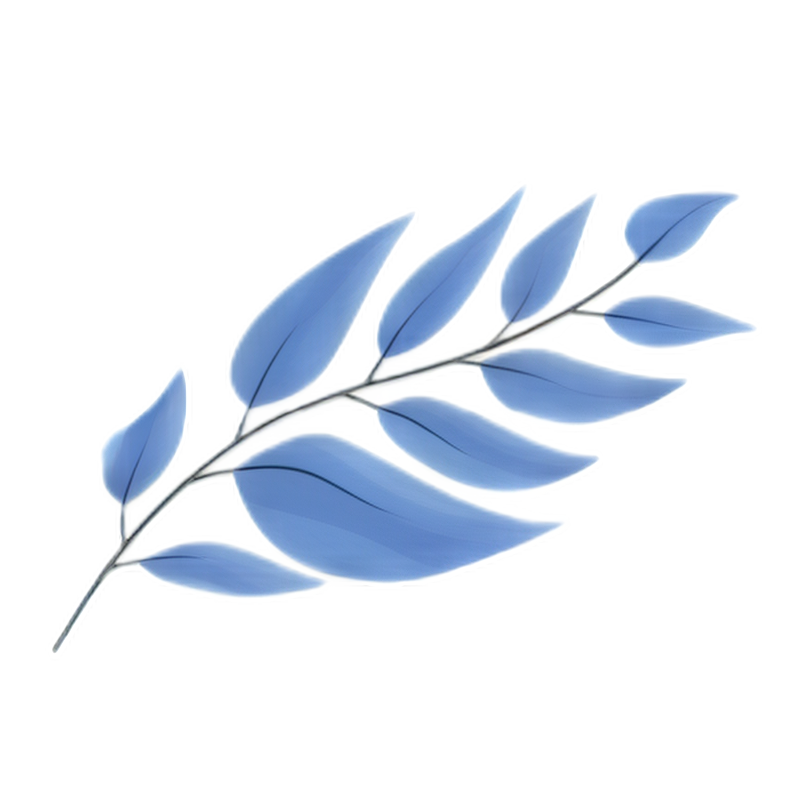 lc_platine